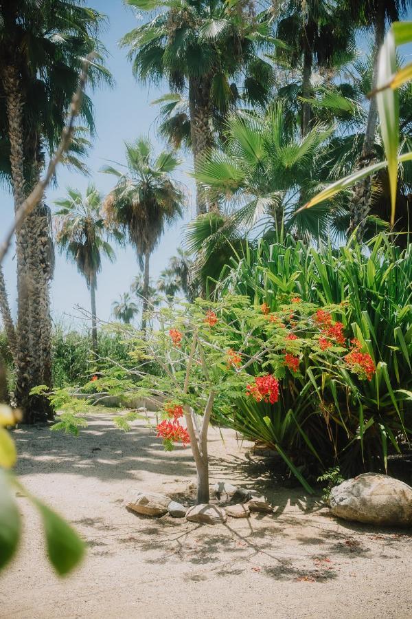 La Poza Boutique Hotel And Spa - Adults 15 Plus Todos Santos Bagian luar foto