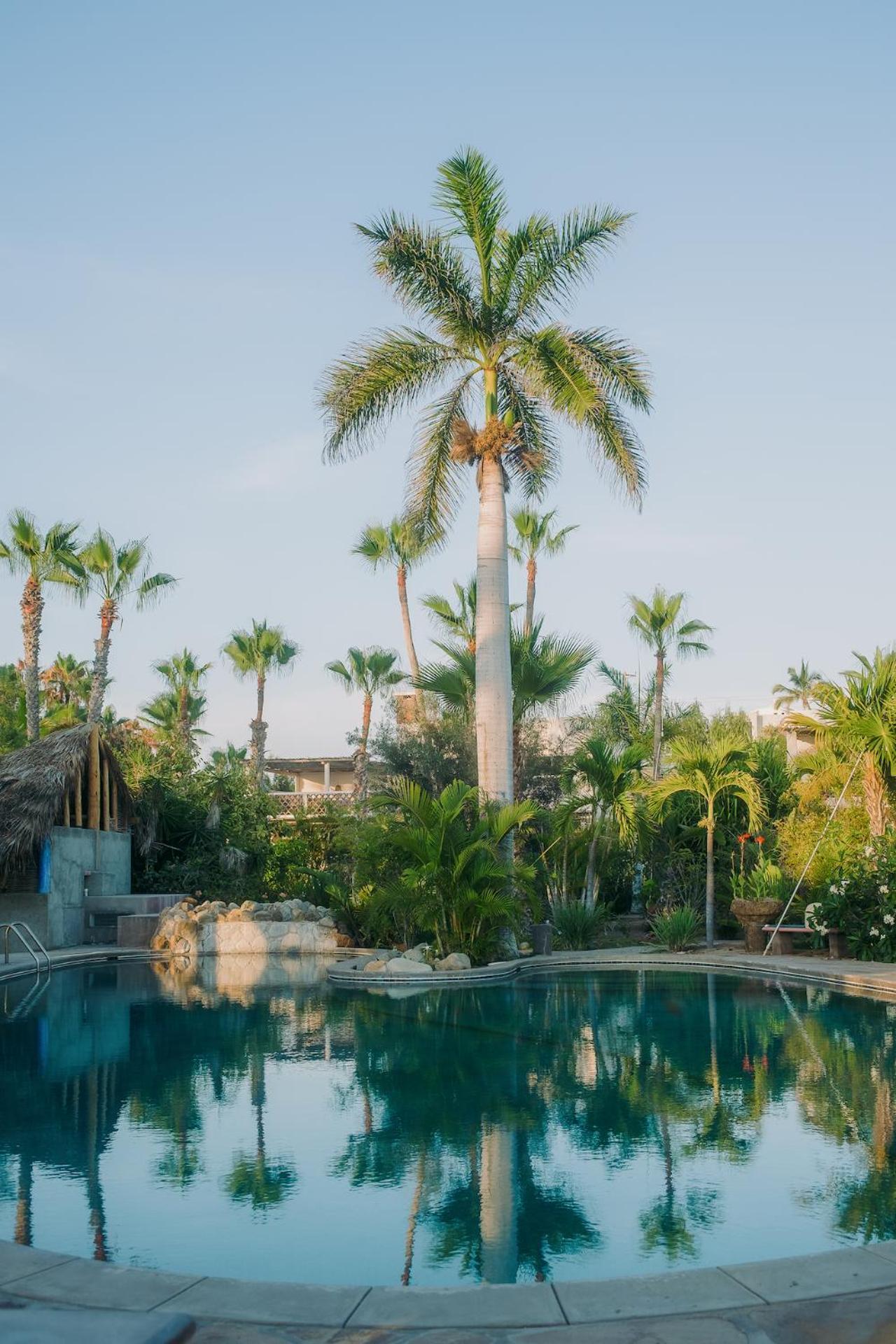 La Poza Boutique Hotel And Spa - Adults 15 Plus Todos Santos Bagian luar foto