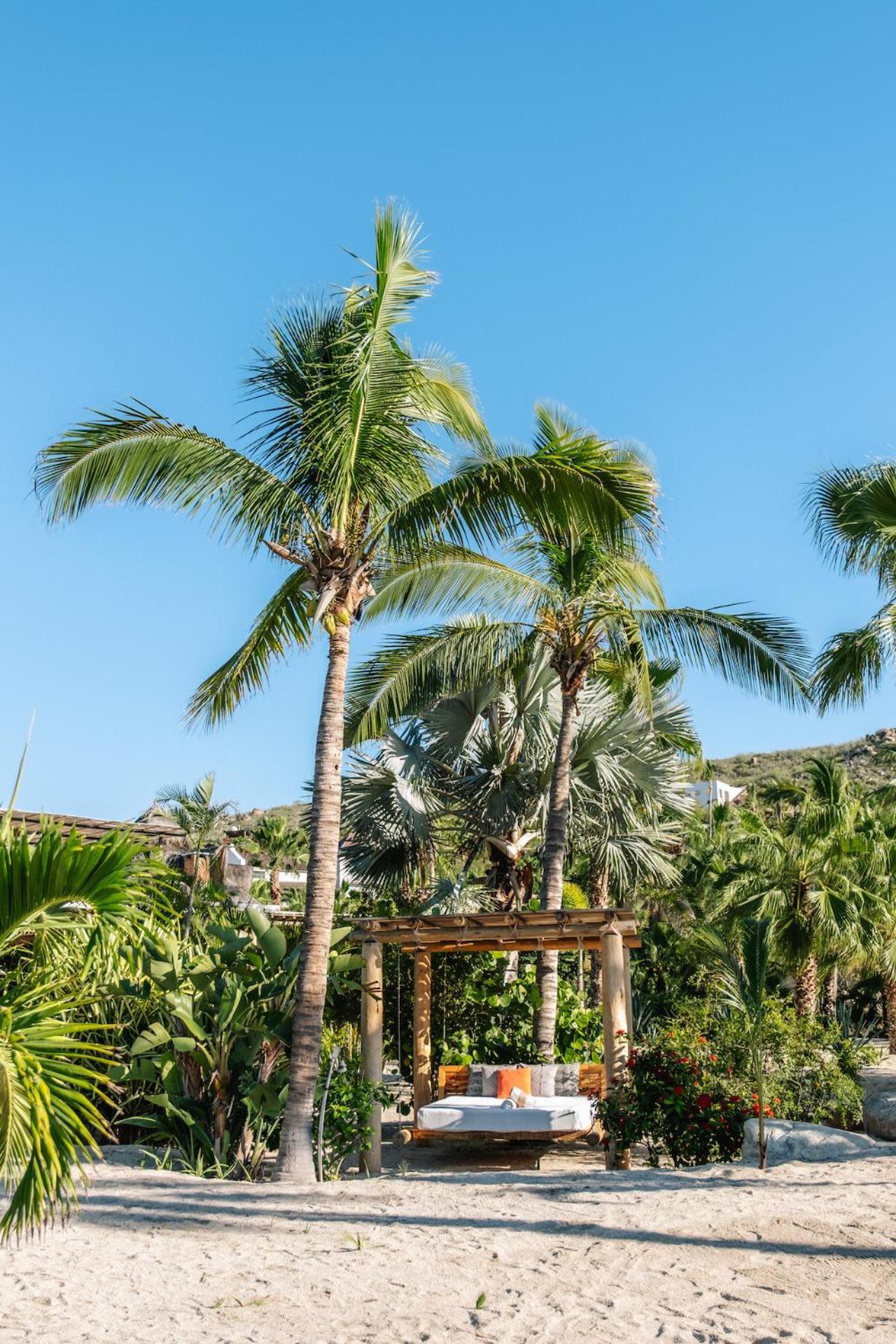 La Poza Boutique Hotel And Spa - Adults 15 Plus Todos Santos Bagian luar foto